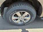 2019 F-150 Thumbnail 10