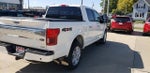 2020 F-150 Thumbnail 8