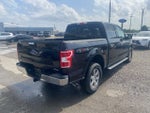 2020 F-150 Thumbnail 6