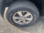 2020 F-150 Thumbnail 10