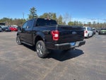 2020 F-150 Thumbnail 6