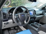 2020 F-150 Thumbnail 4