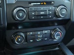 2020 F-150 Thumbnail 13