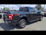 2020 F-150 Thumbnail 8