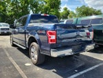 2019 F-150 Thumbnail 4