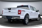 2019 F-150 Thumbnail 6