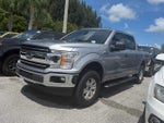 2020 F-150 Thumbnail 4