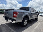 2020 F-150 Thumbnail 7