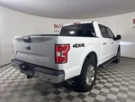 2018 F-150 Thumbnail 8