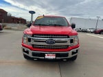 2019 F-150 Thumbnail 3