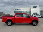 2019 F-150 Thumbnail 4