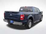 2019 F-150 Thumbnail 7