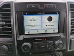 2019 F-150 Thumbnail 10