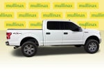 2019 F-150 Thumbnail 2