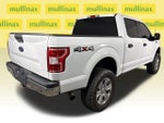 2019 F-150 Thumbnail 4