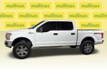 2019 F-150 Thumbnail 12