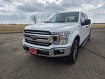 2019 F-150 Thumbnail 4