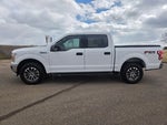 2019 F-150 Thumbnail 5