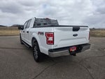 2019 F-150 Thumbnail 6