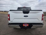 2019 F-150 Thumbnail 7