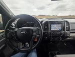 2019 F-150 Thumbnail 13