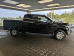 2019 F-150 Thumbnail 4