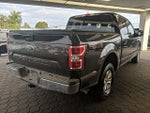 2019 F-150 Thumbnail 5