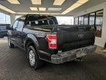 2019 F-150 Thumbnail 7