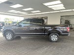 2019 F-150 Thumbnail 8
