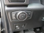 2019 F-150 Thumbnail 14