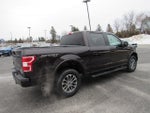 2019 F-150 Thumbnail 5