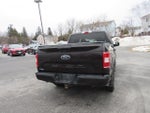 2019 F-150 Thumbnail 7