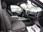 2019 F-150 Thumbnail 11
