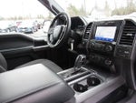 2019 F-150 Thumbnail 12
