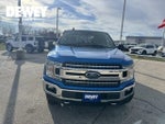 2019 F-150 Thumbnail 2