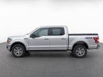 2019 F-150 Thumbnail 7