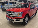 2019 F-150 Thumbnail 4