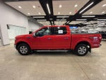 2019 F-150 Thumbnail 5