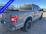 2019 F-150 Thumbnail 4