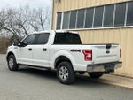 2020 F-150 Thumbnail 7