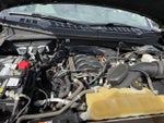 2020 F-150 Thumbnail 11