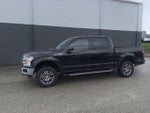 2018 F-150 Thumbnail 3