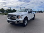2019 F-150 Thumbnail 2