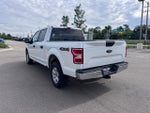 2019 F-150 Thumbnail 3