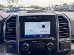 2019 F-150 Thumbnail 18