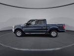 2019 F-150 Thumbnail 5