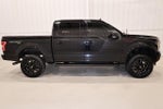 2019 F-150 Thumbnail 2