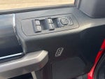 2019 F-150 Thumbnail 19