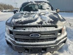 2019 F-150 Thumbnail 2
