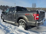 2019 F-150 Thumbnail 4